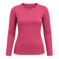 BLUSA TÉRMICA PELUCIADA |  SEGUNDA PELE |  MANGA LONGA  | QUALIDADE PREMIUM