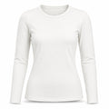 BLUSA TÉRMICA PELUCIADA |  SEGUNDA PELE |  MANGA LONGA  | QUALIDADE PREMIUM